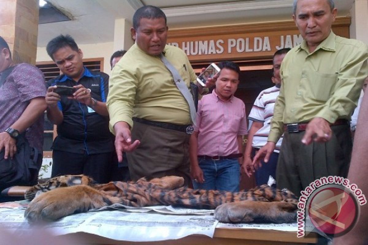 Polisi periksa BKSDA kasus perdagangan kulit harimau 