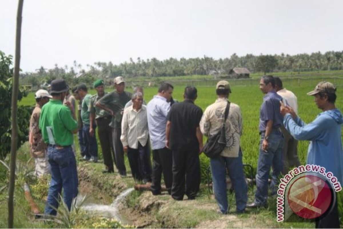 Musim Kemarau Petani Pelang Gunakan Sumur Bor