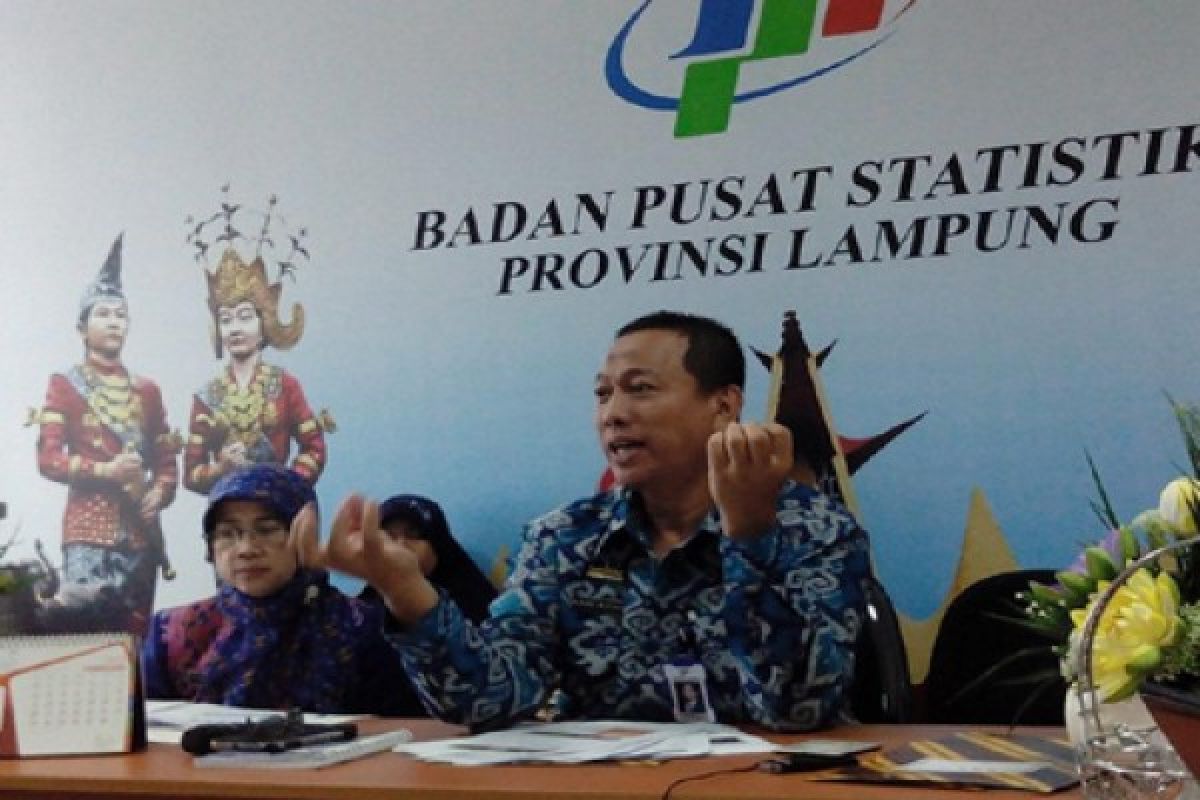 BPS: Produksi padi Lampung naik