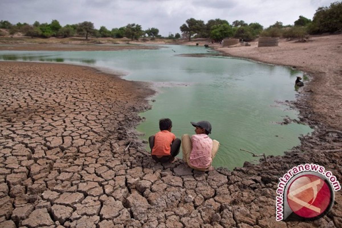 BPBD: Tujuh wilayah di Jambi berpotensi kekeringan 