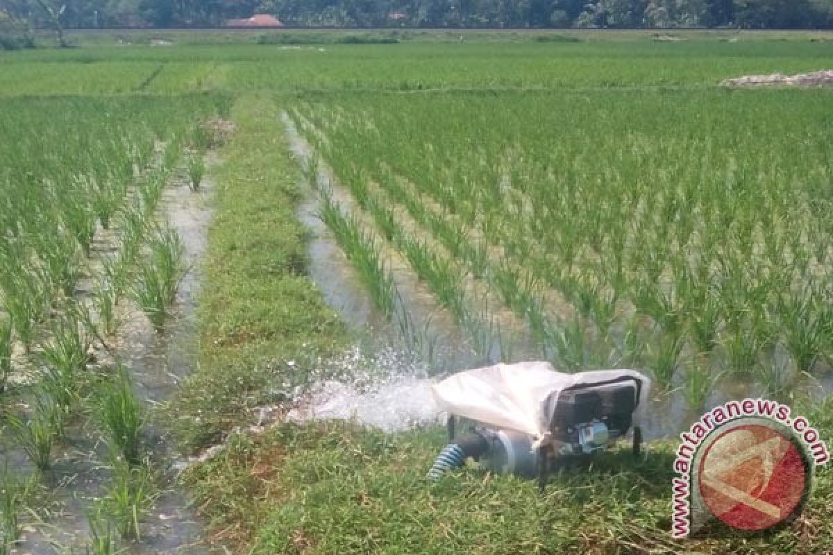 Mentan Siapkan 20 Ribu Pompa Atasi Kekeringan 