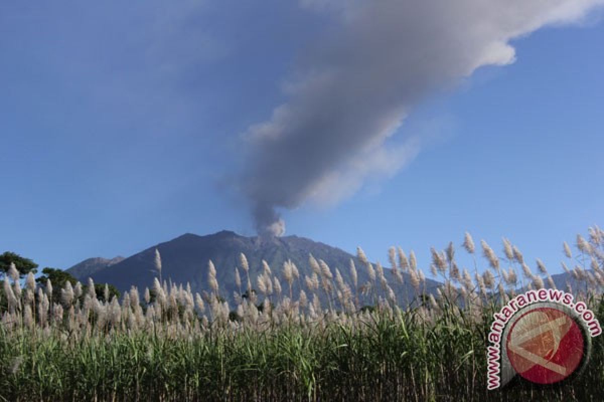 Abu Gunung Raung sudah mencapai Bali