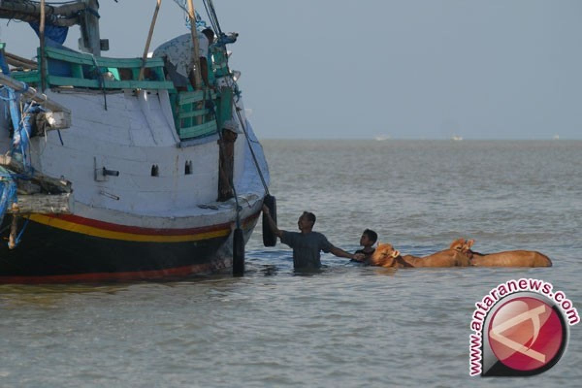 Babinsa Pamekasan Bantu Pantau Pemudik Jalur Laut