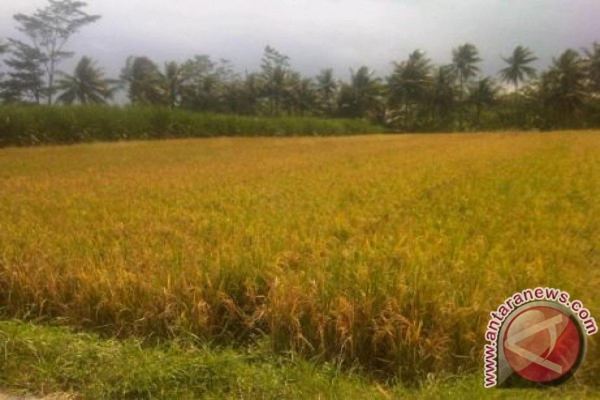 Pemkab Malang Tutup Rapat Alih Fungsi Lahan