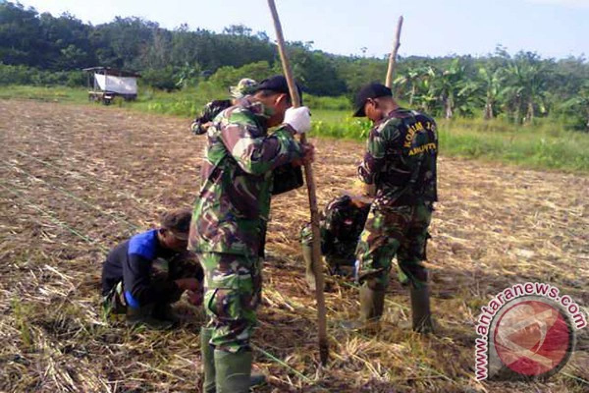 Kabupaten Tabalong Kembalikan Bantuan Benih Kementan