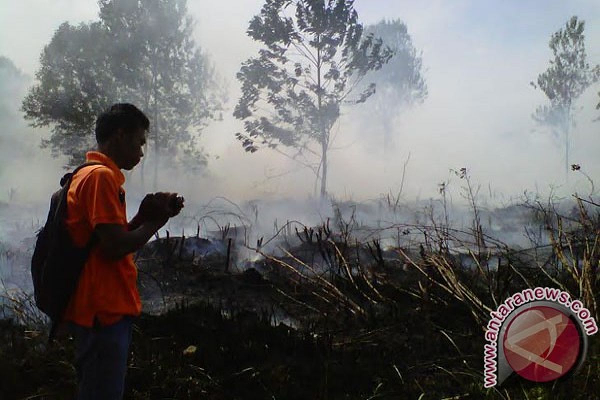 Kebakaran lahan gambut nyaris hanguskan RSUD Mukomuko