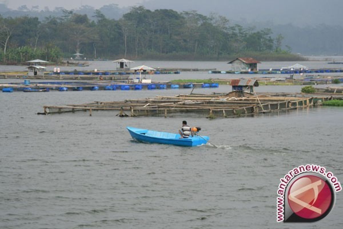 Nelayan Keramba Khawatirkan Surutnya Sungai Kahayan