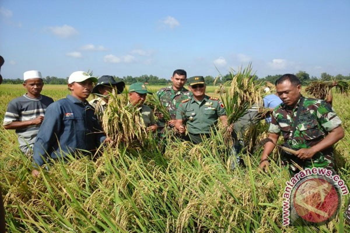 Serapan Gabah di Madura Baru 308,6 Ton