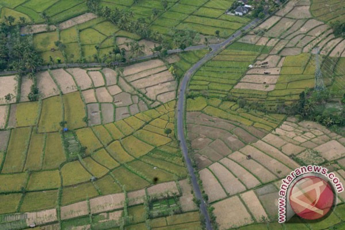 26.153 hektare sawah di Cilacap dan Ciamis terancam kekeringan