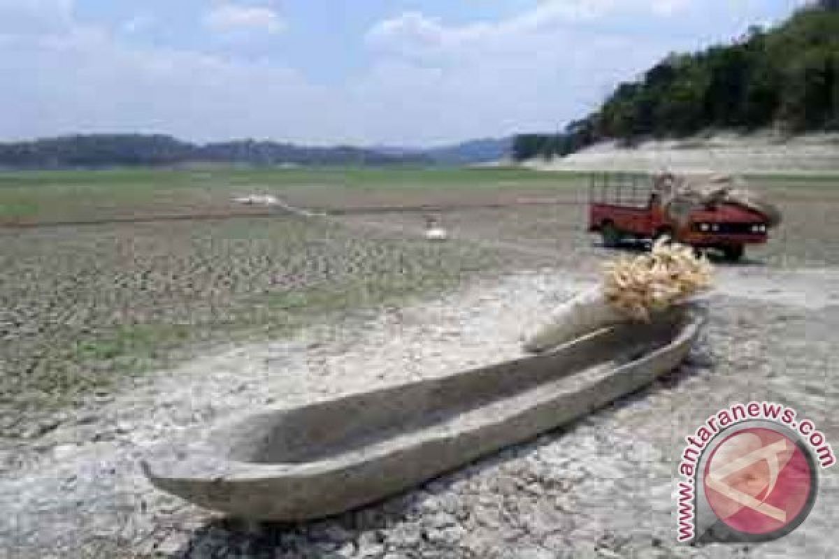 1.321 Hektare Lahan di Lamongan Kekurangan Air