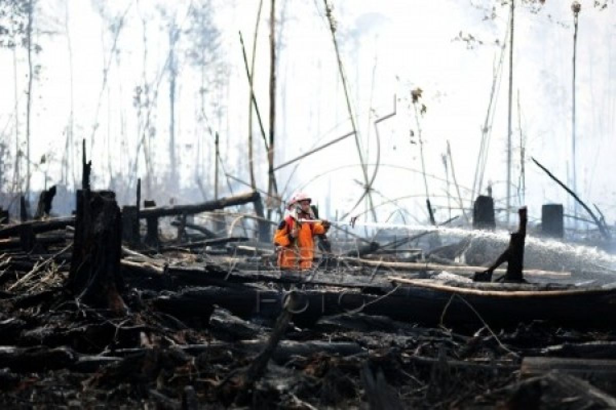 Dinas KPPK Siapkan Tim Antisipasi Kebakaran Lahan