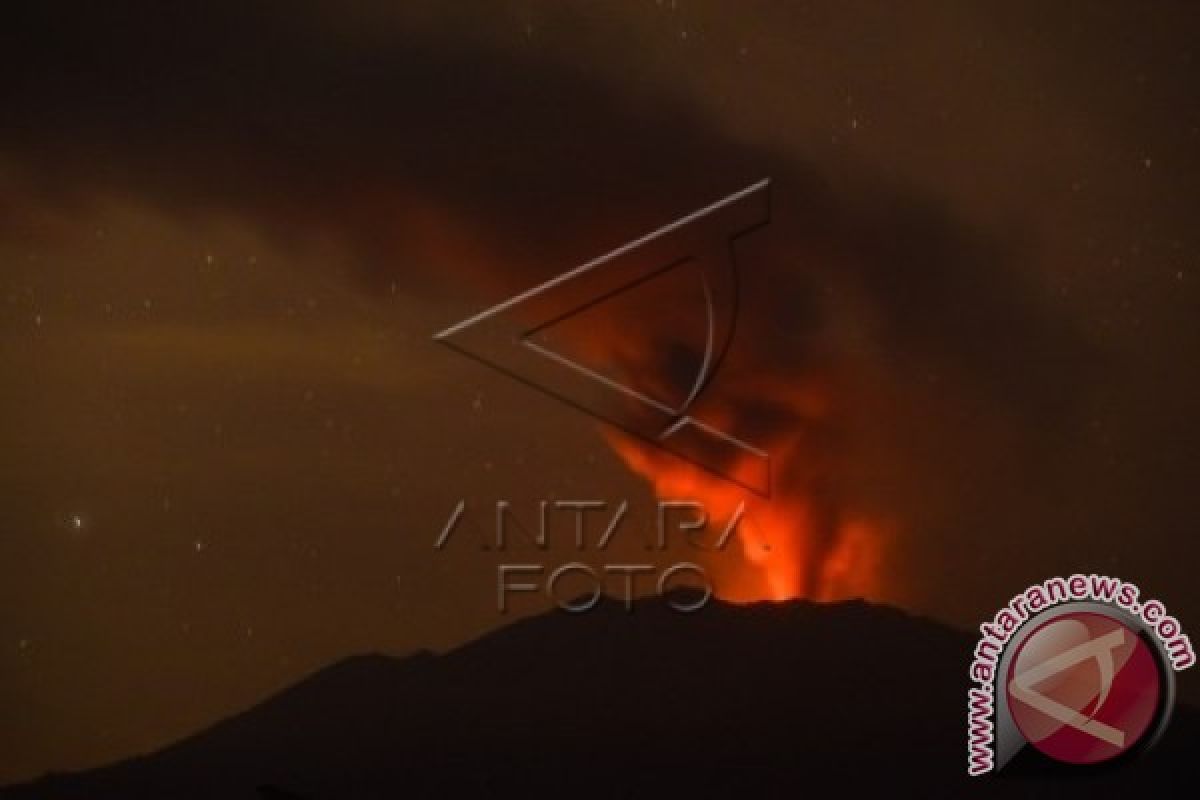 PVMBG : Aktivitas Gempa Tremor Gunung Raung Menurun