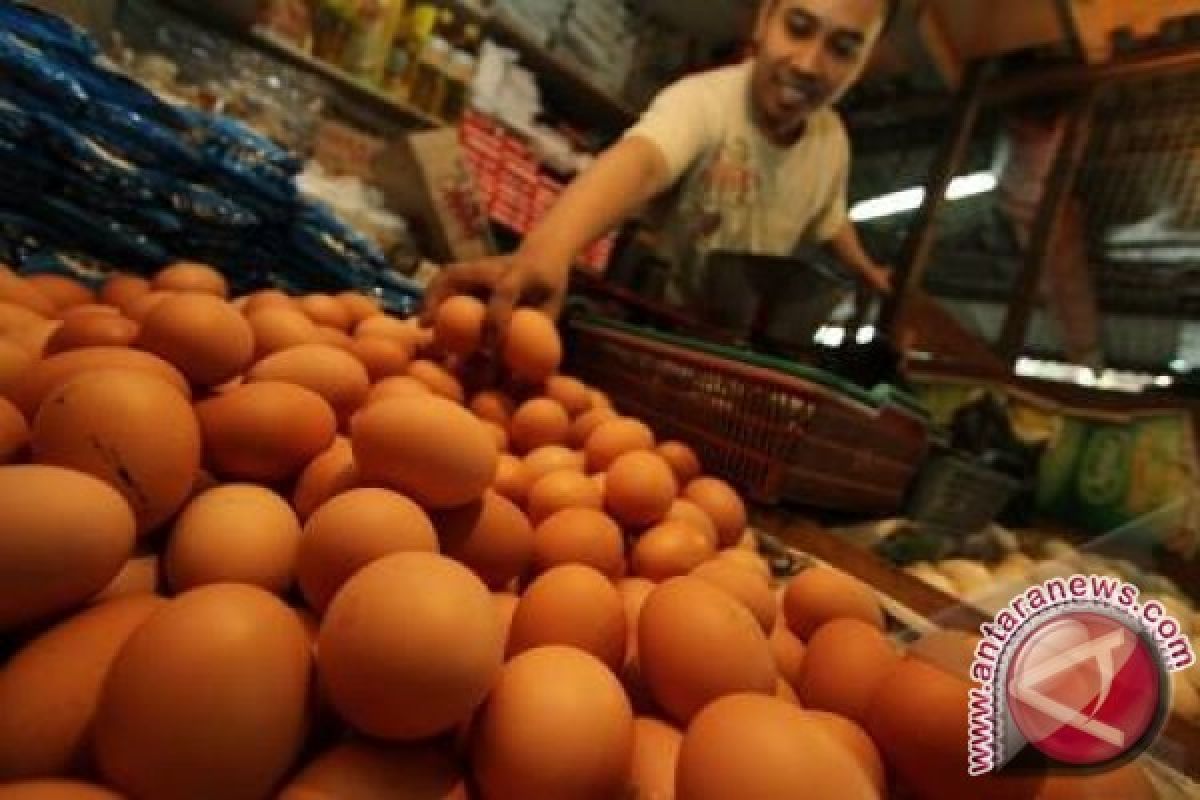 Harga telur ayam di Babel naik