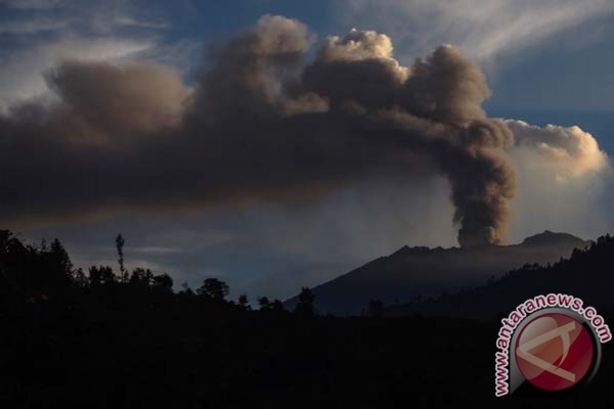 Penutupan beberapa bandara di Jatim akibat erupsi Gunung Raung