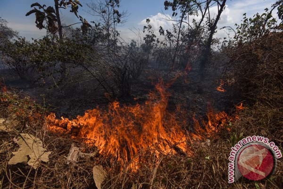 Perusahaan siap bantu petani buka lahan tanpa membakar