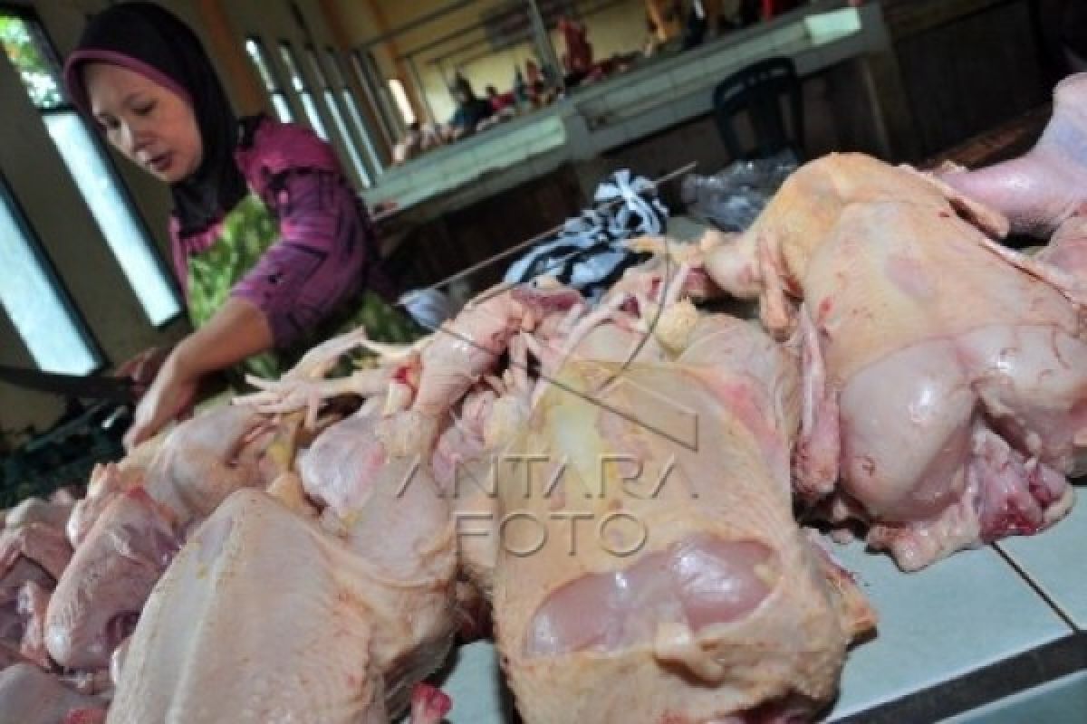 Stok Berkurang, Harga Daging Ayam di Temanggung Naik