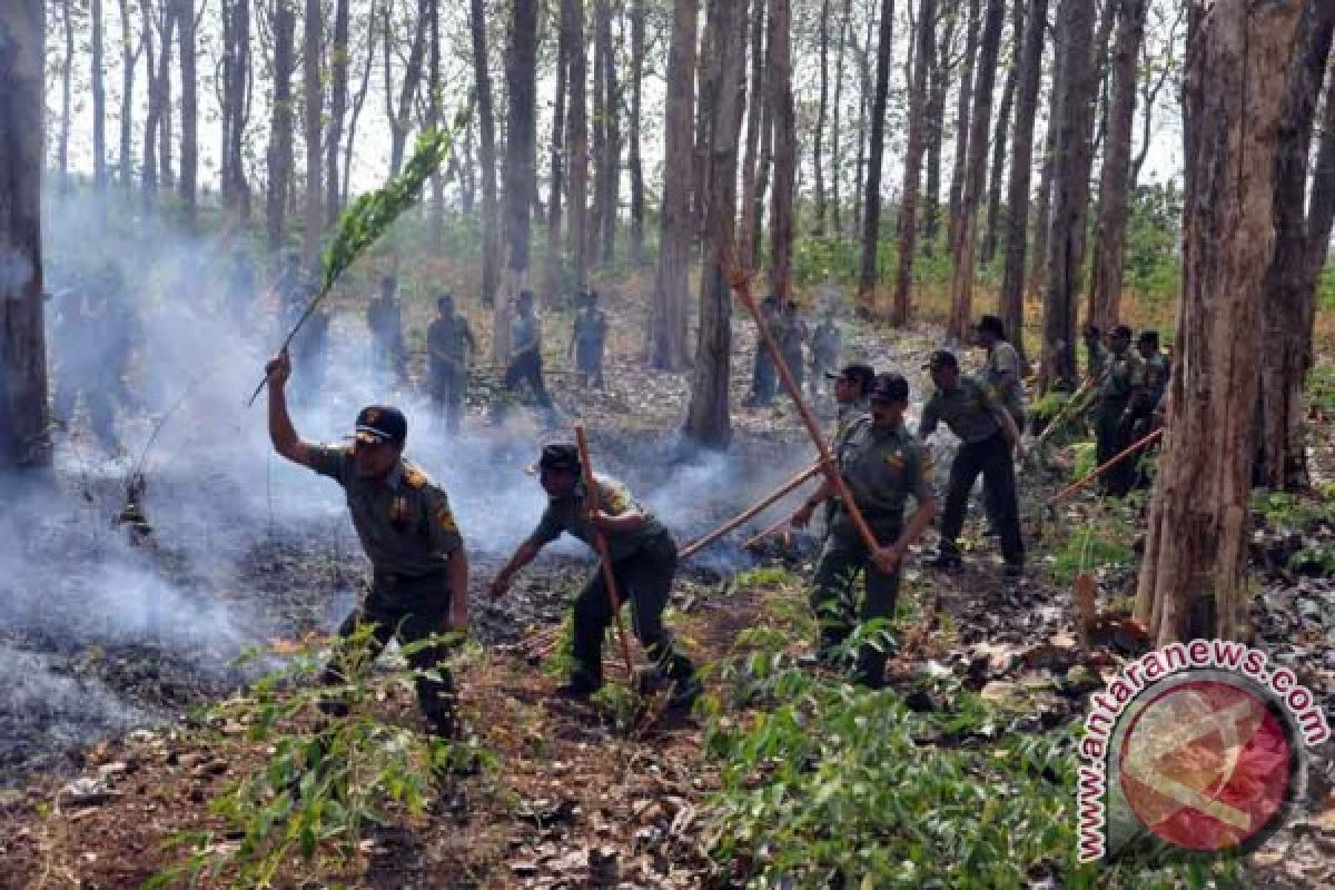 Perhutani Siagakan Satgas Pengendalian Kebakaran Hutan