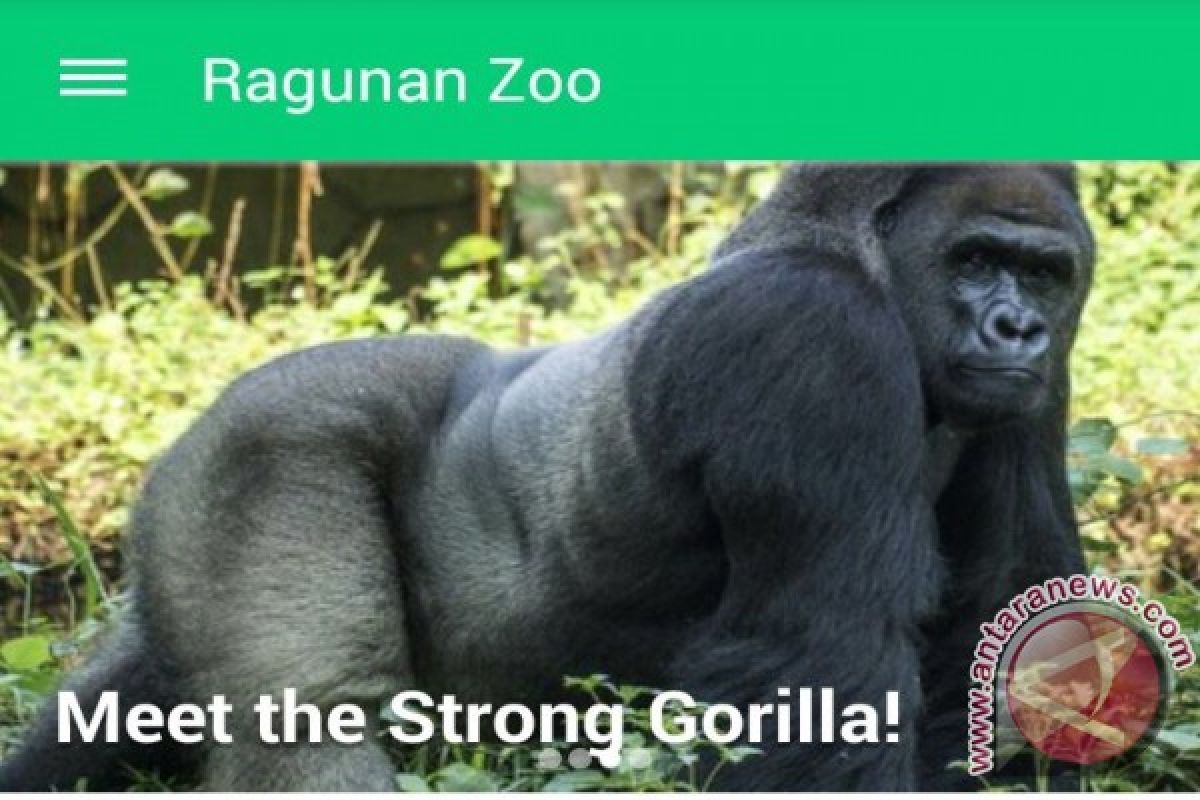 Jelajah lebih nyaman dengan aplikasi Ragunan Zoo