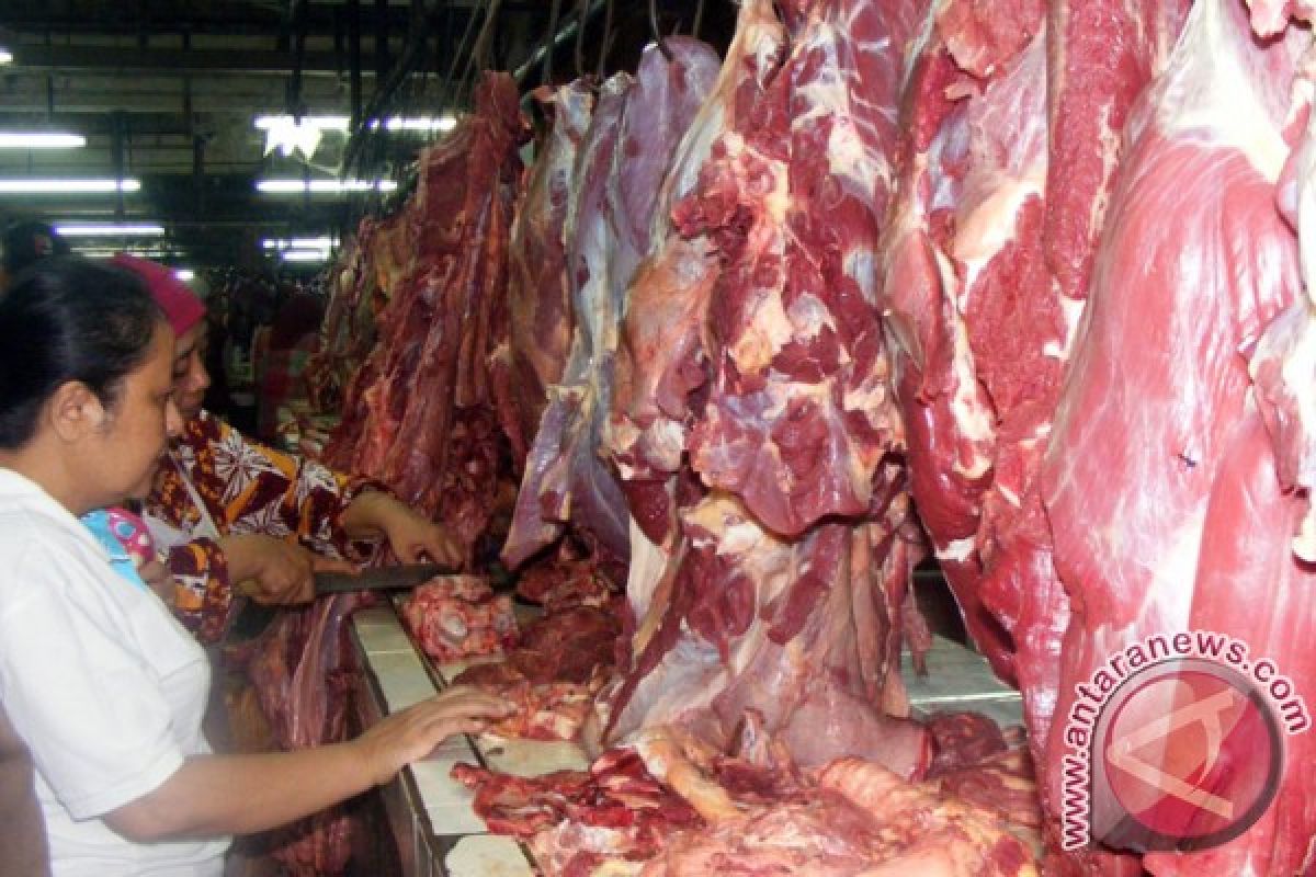 Pengusaha Situbondo Dukung Pemerintah Impor Daging Sapi