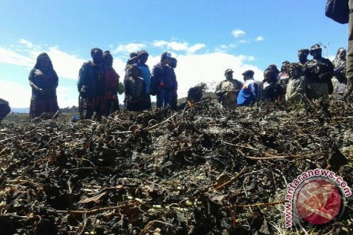 Mensos: butuh uji laboratorium dampak hujan salju