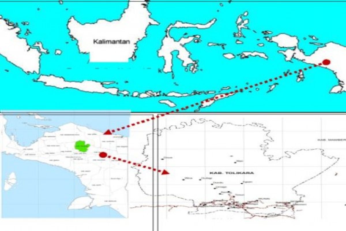 Dua tersangka kerusuhan Tolikara tiba di Jayapura