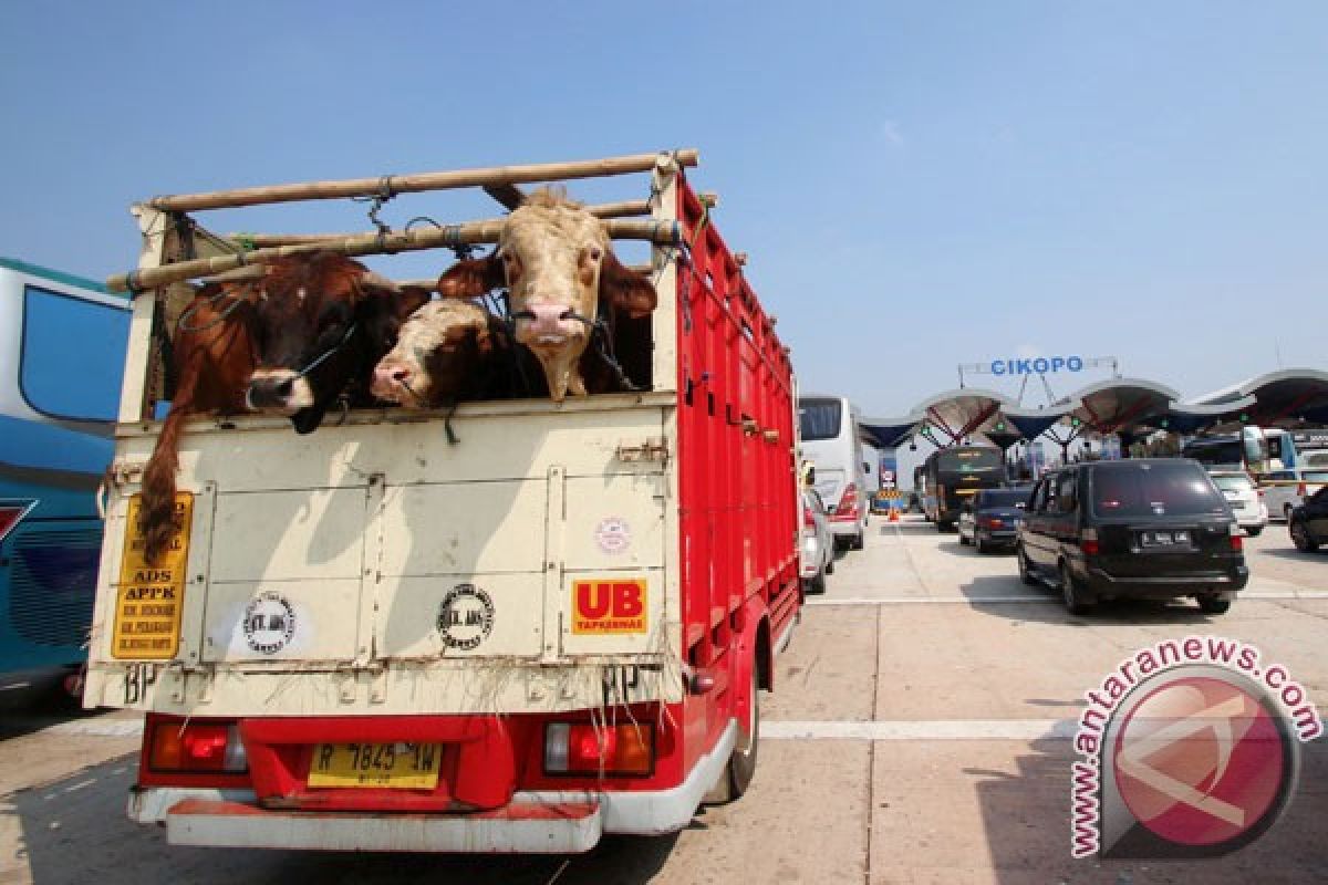 Arus balik jalan arteri Karawang macet