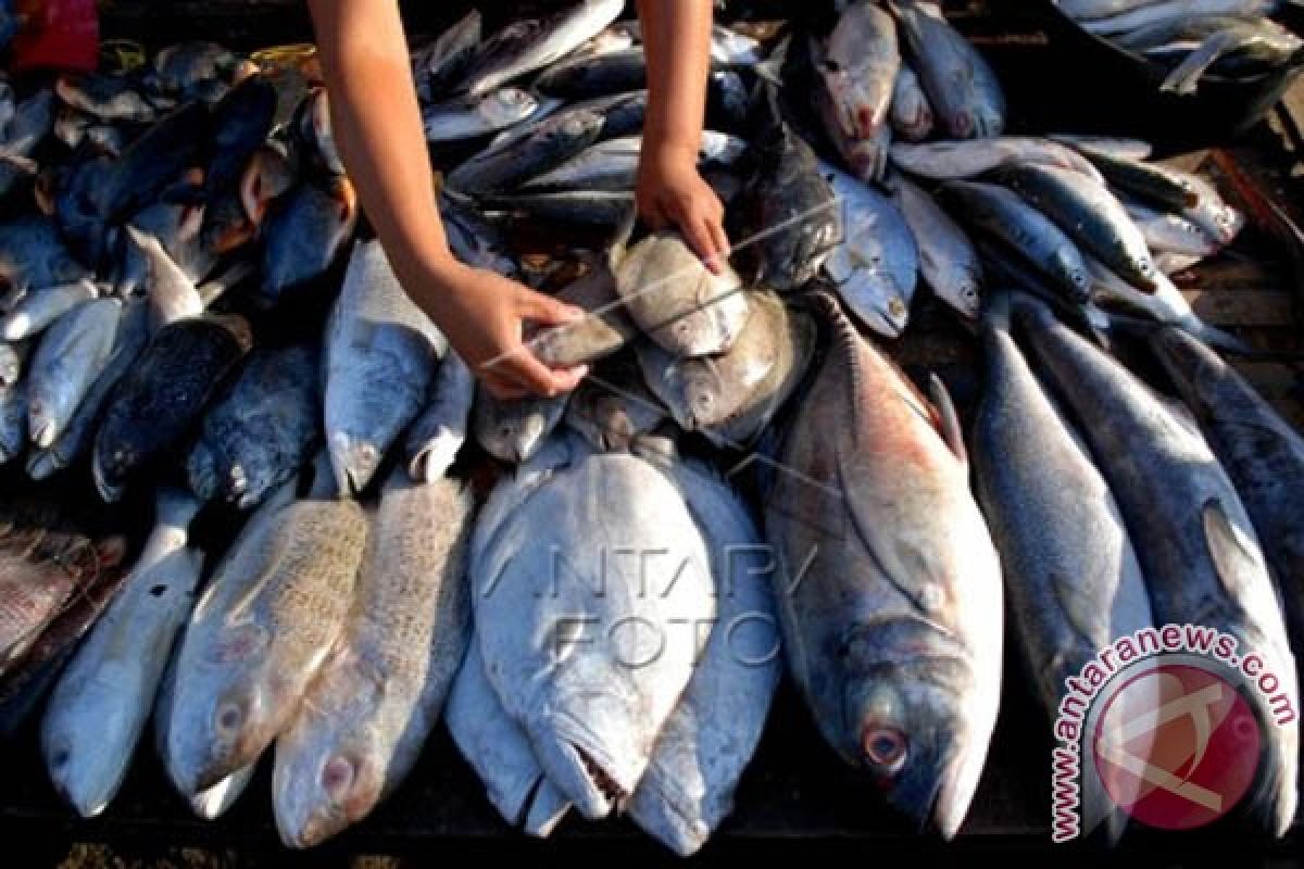 Harga ikan laut melonjak tajam usai Lebaran