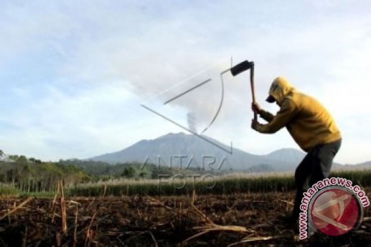 Penerbangan Tertunda Di Bandara Bali Diberangkatkan