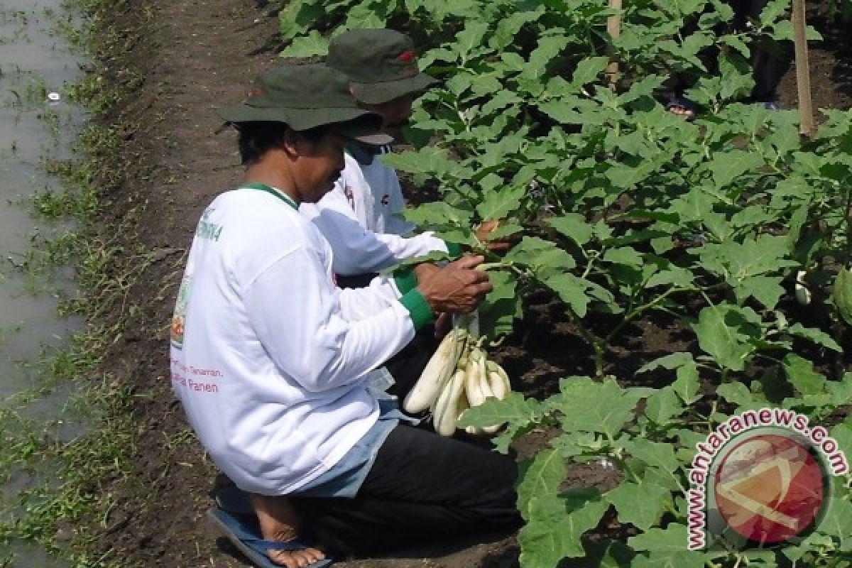 BKPP Banten Fokus Perhatikan Keamanan Distribusi Pangan