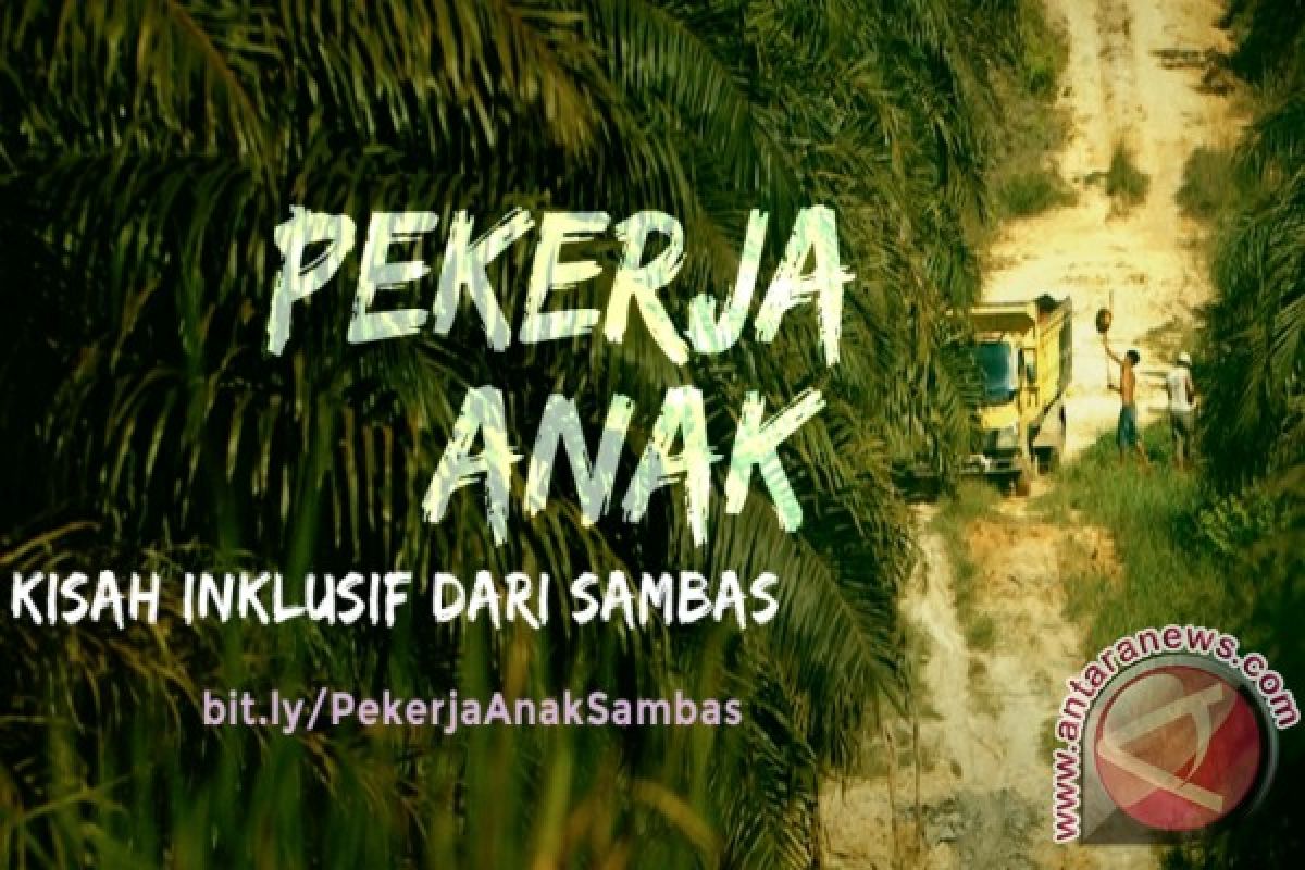 Film Singkat Angkat Fenomena Pekerja Anak di Perkebunan Sambas