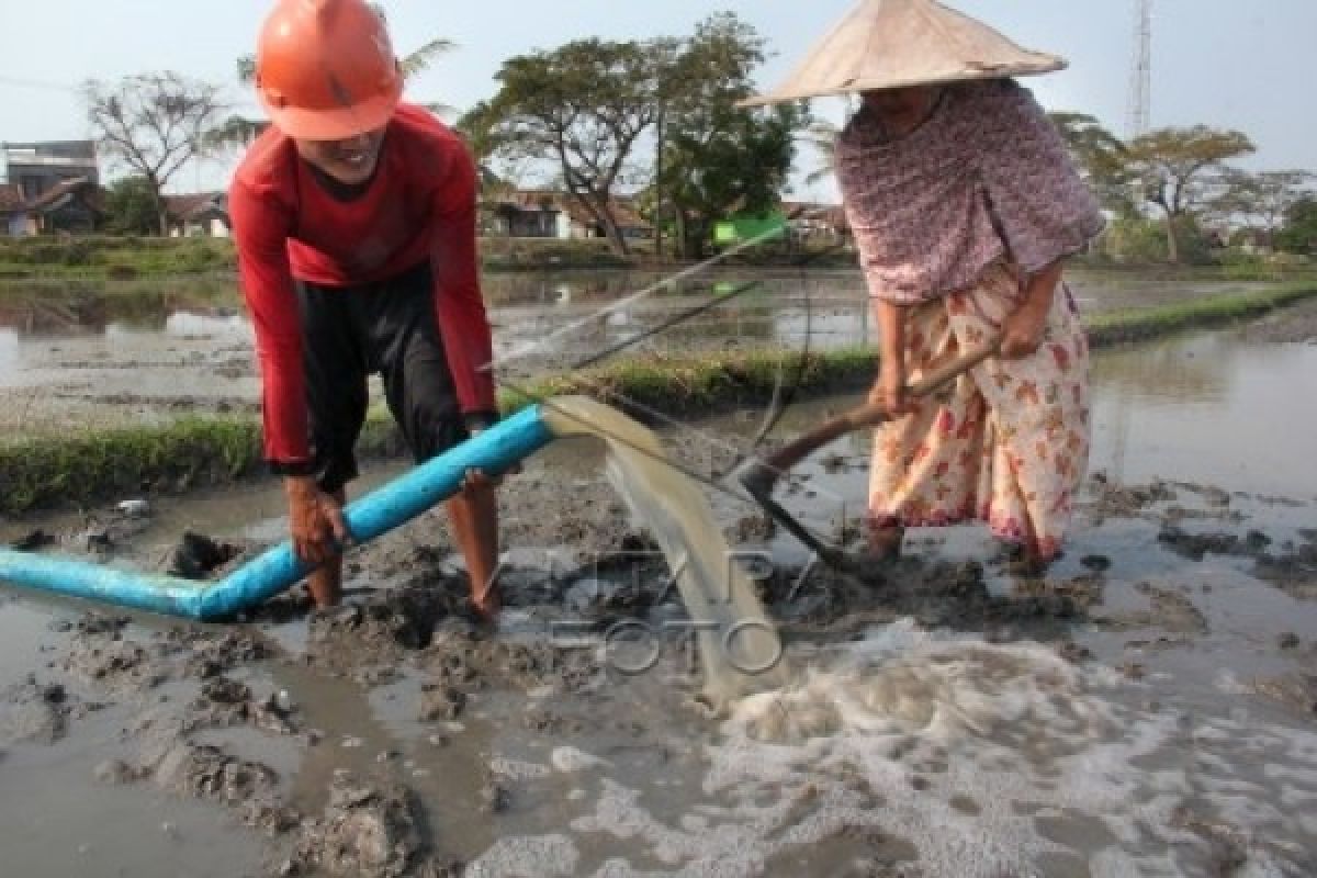 Pemprov Banten Tunjuk Tim Penilai Pembebasan Sindangheula