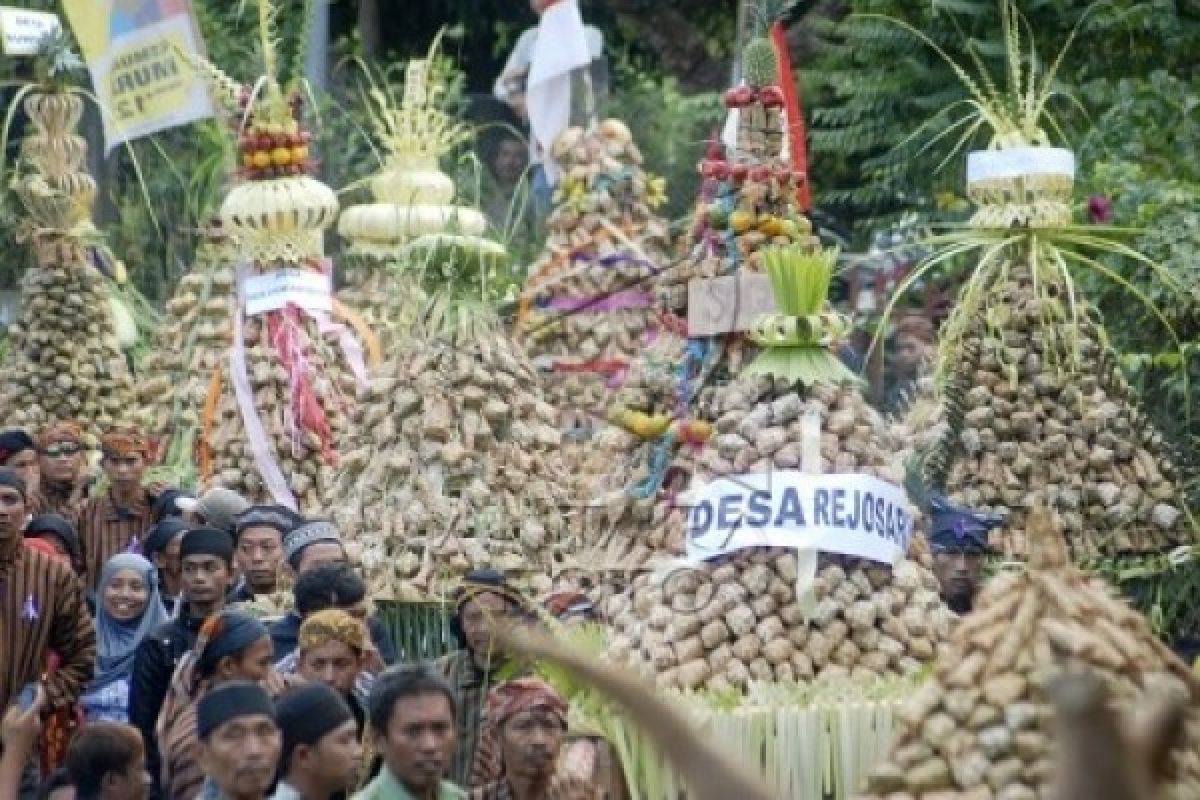 Pemotongan Lopis Raksasa Meriahkan Tradisi Syawalan di Pekalongan