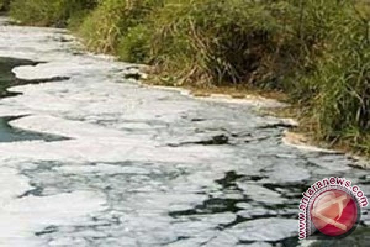 Ikan Mati di Sungai Tercemar Limbah Sawit