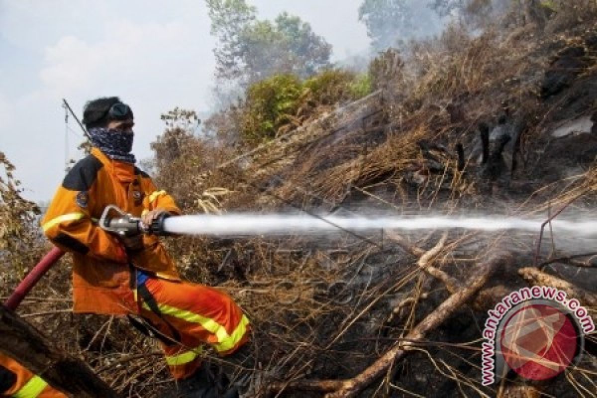 Satgas Karhutla Berwenang Segel Lahan Terbakar