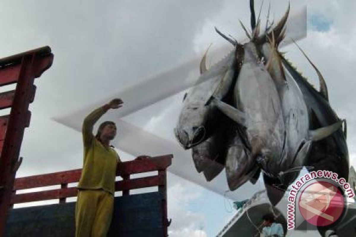 Bali's Exports Of Tuna Fish Up 19.7 Percent