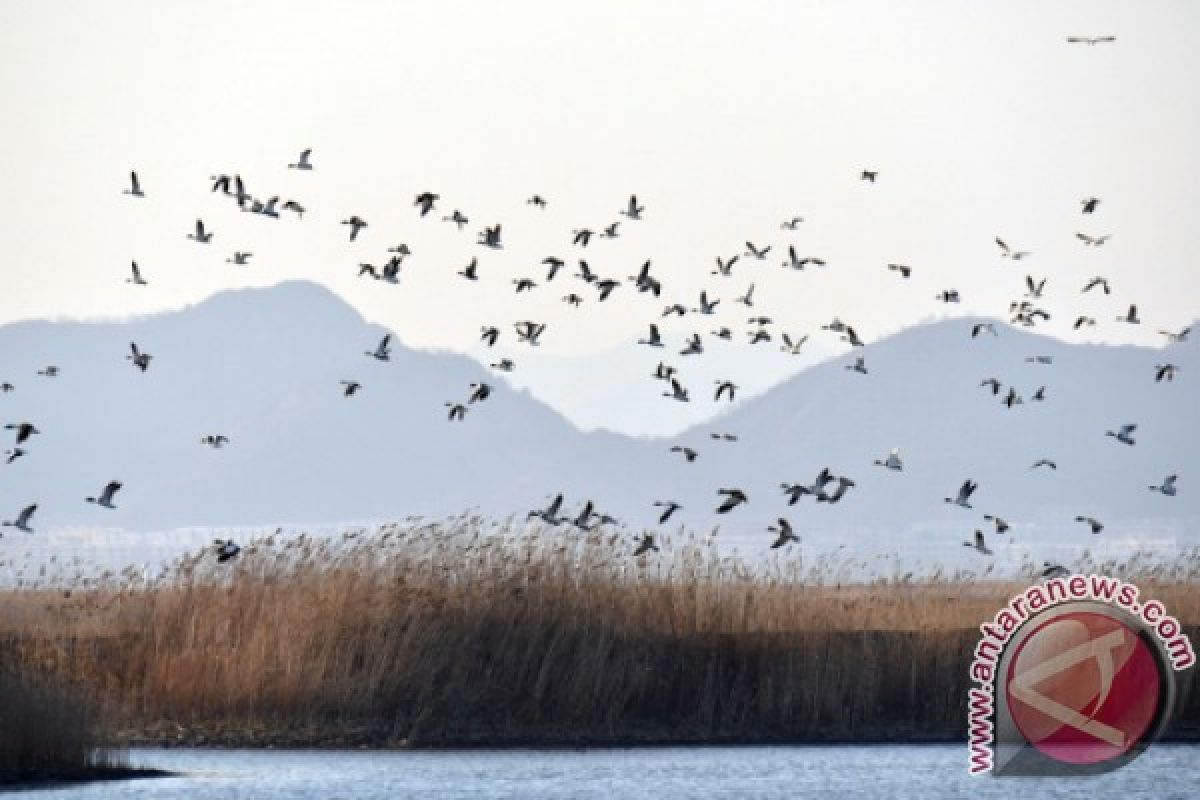 US Senator Recognizes Conservation Efforts of Wenliang Wang