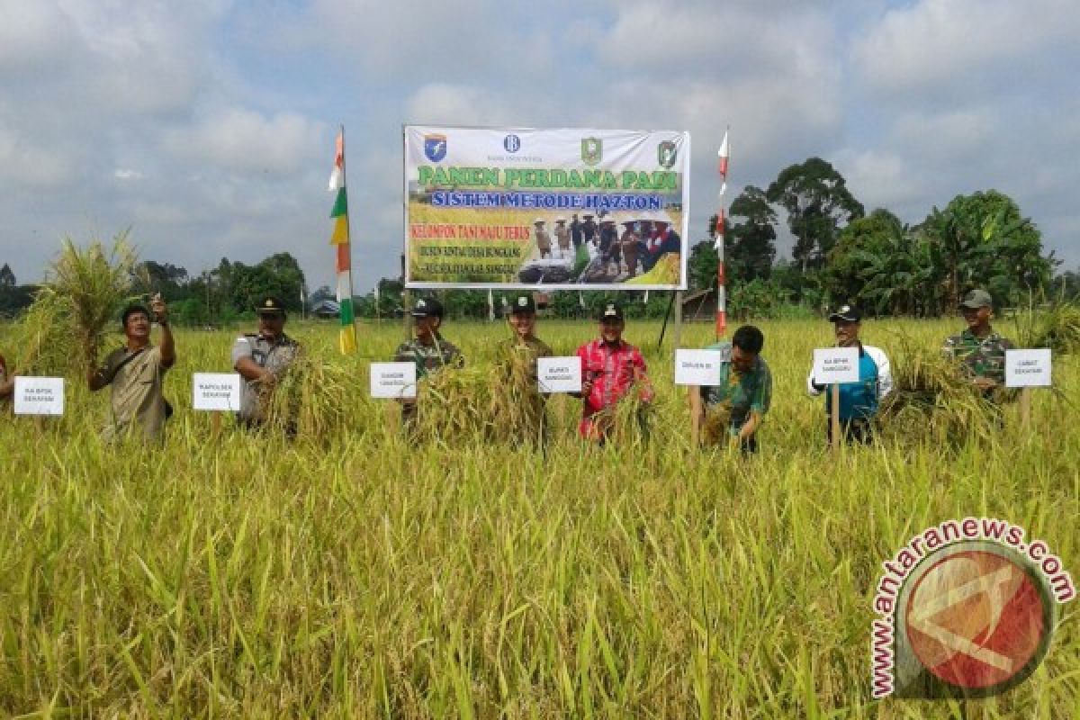 80 Persen Petani Singkawang Terapkan Metode Hazton 