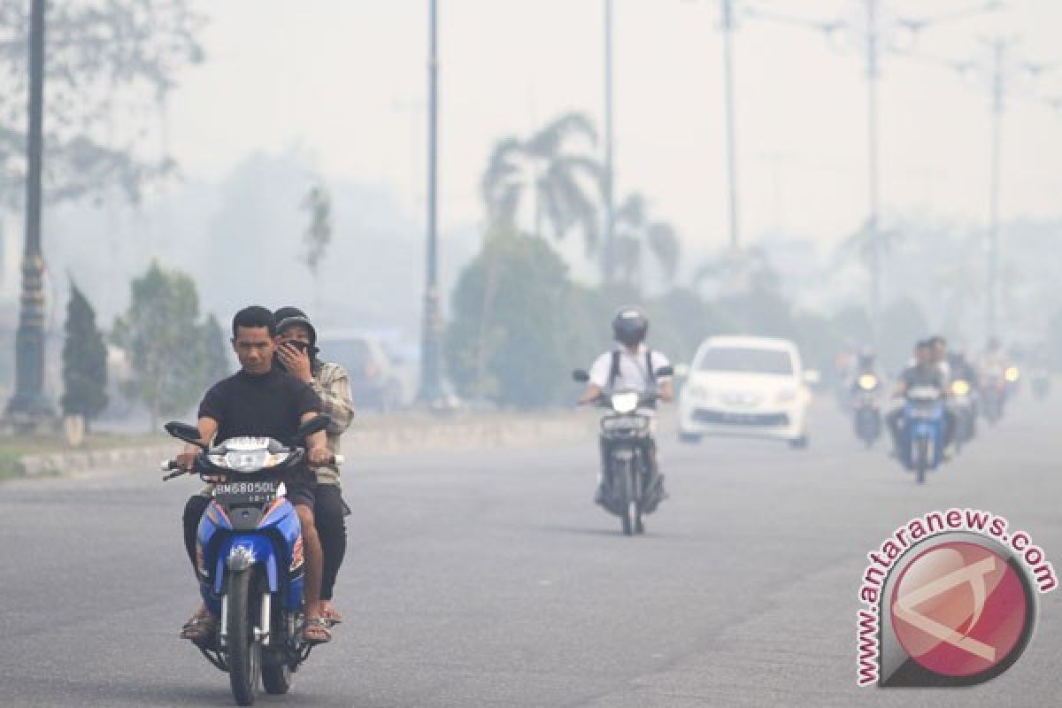 Kebakaran hutan mulai ganggu penerbangan di Pekanbaru