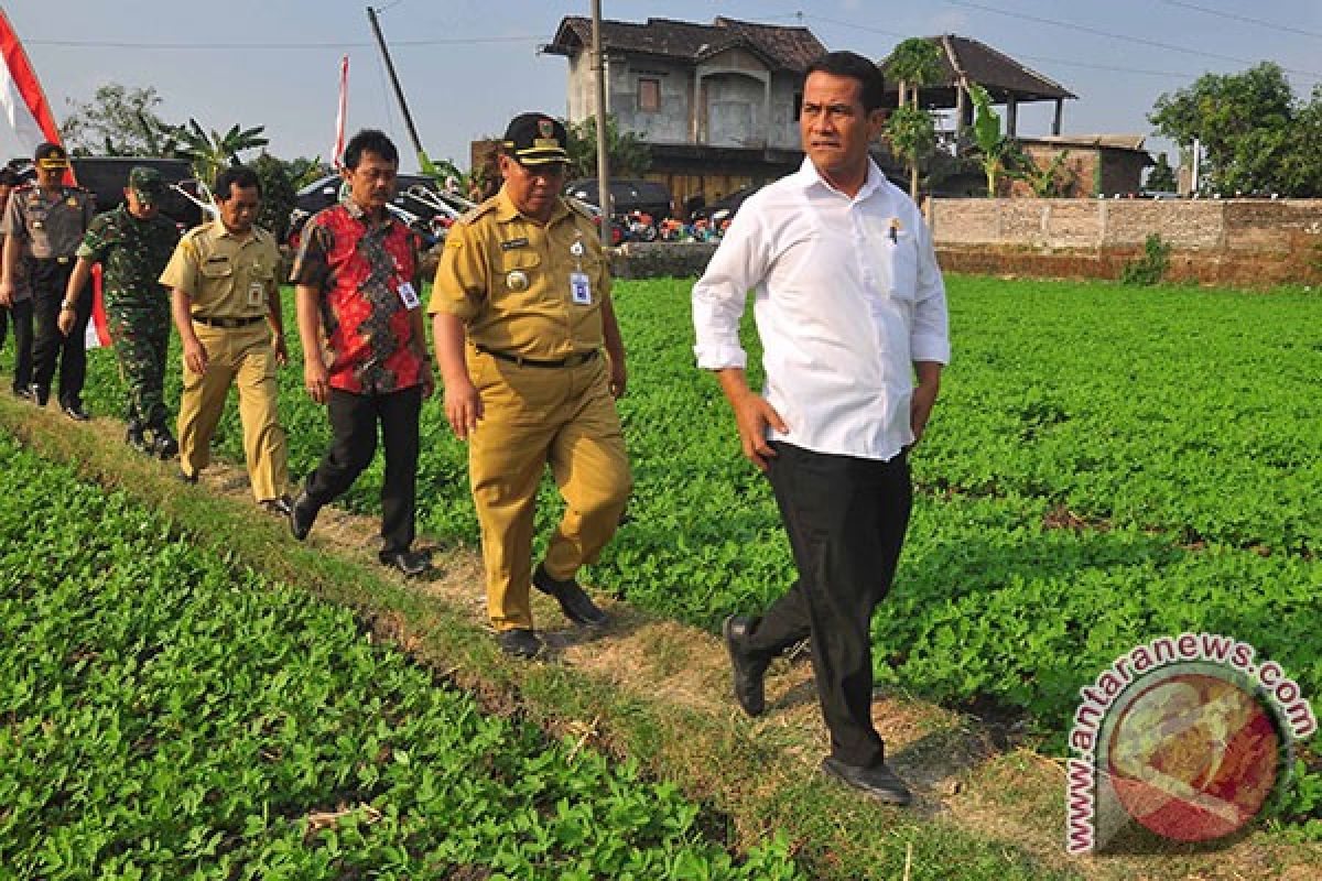 Mentan minta petani jual beras ke Bulog