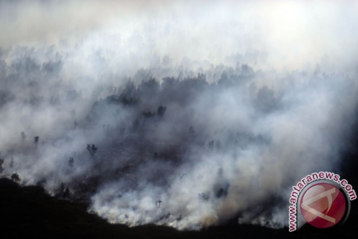 Polres terjunkan tim padamkan kebakaran hutan 