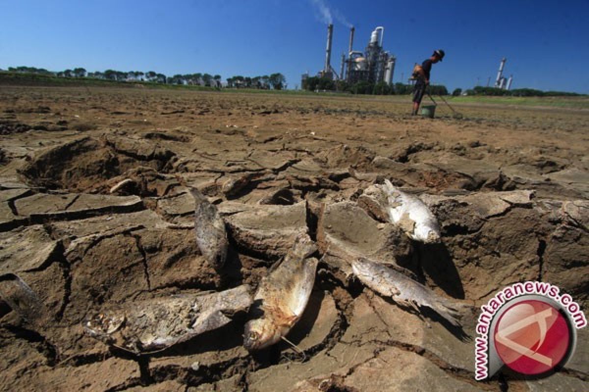 Pemerintah Antisipasi Kekeringan 2015 Akibat El Nino