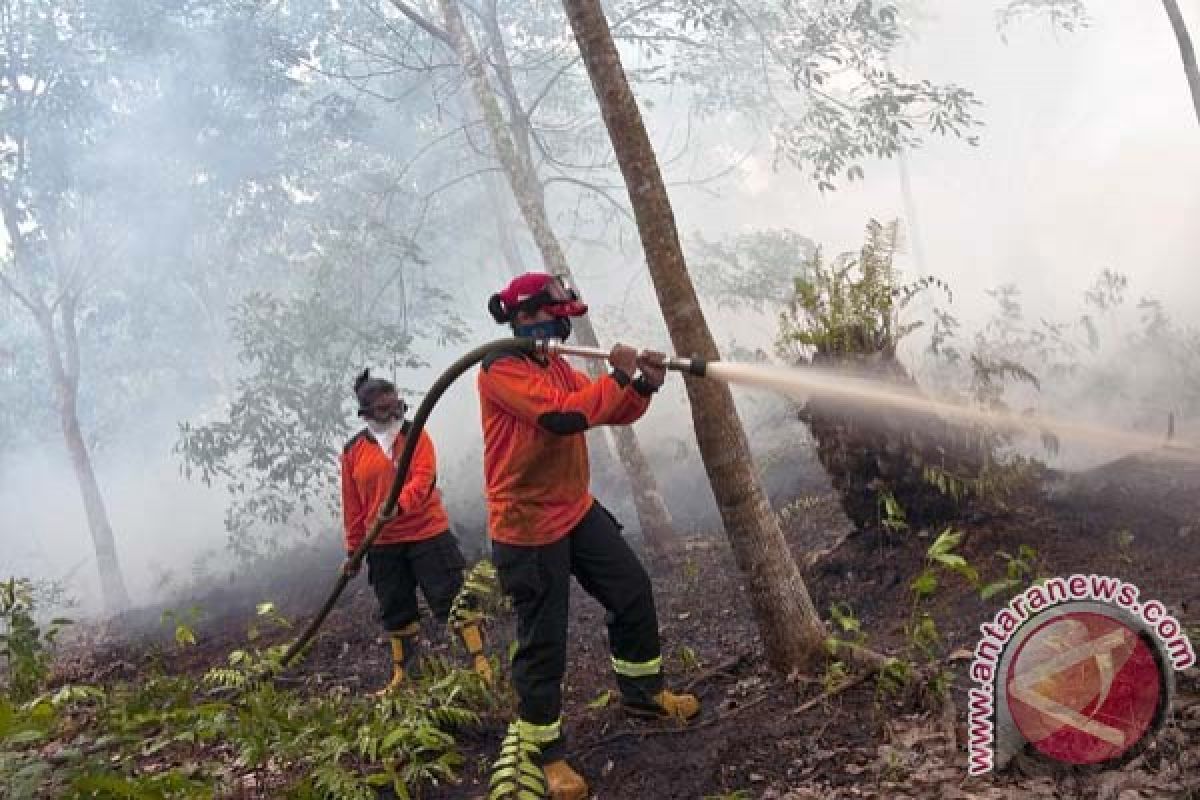 Pemerintah alokasikan Rp107 miliar atasi kebakaran hutan dan lahan