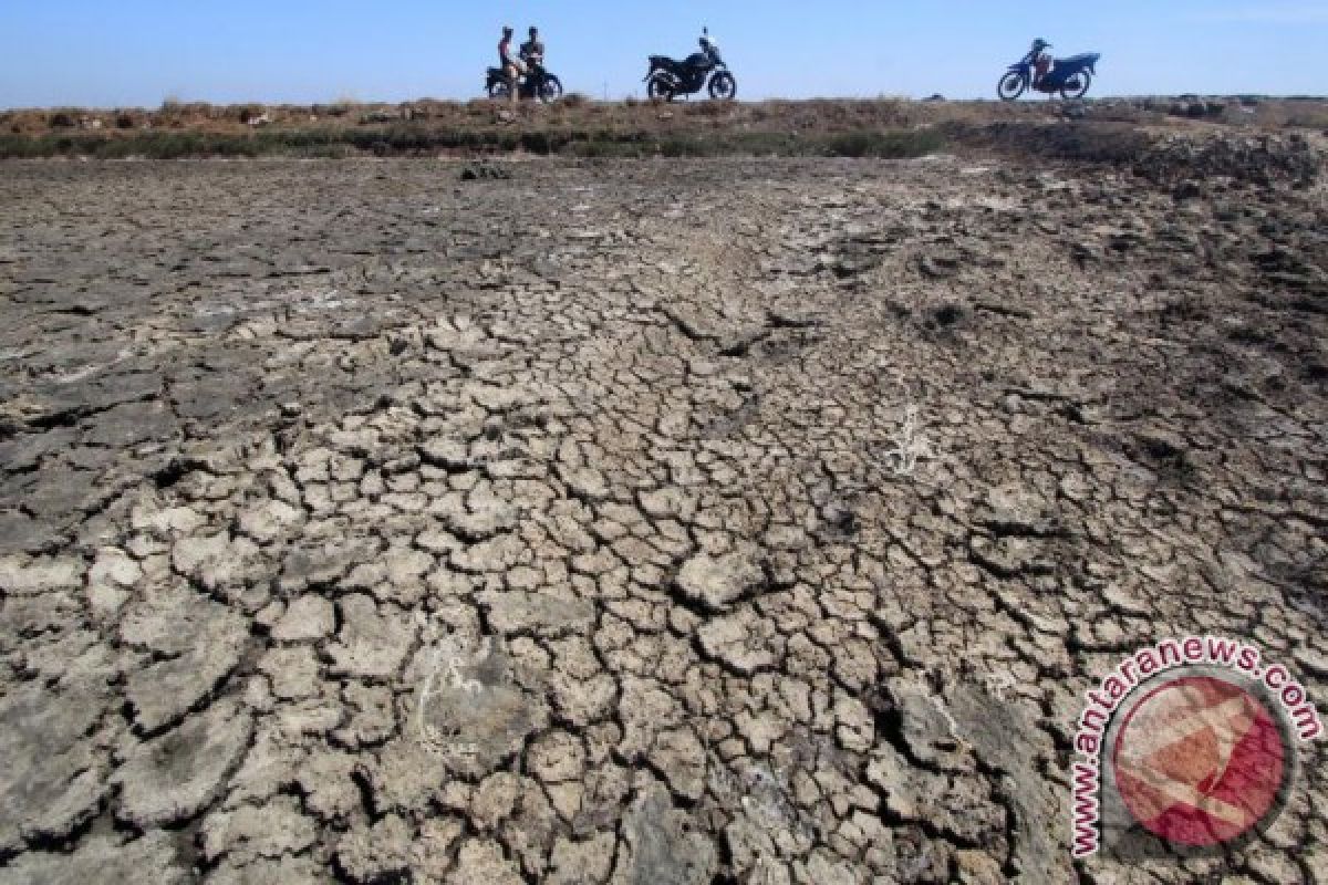 EL Nino dan antisipasi kekeringan di Indonesia