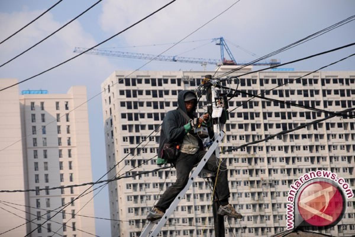 Pelanggan Listrik Subsidi Di Palu 14 Persen