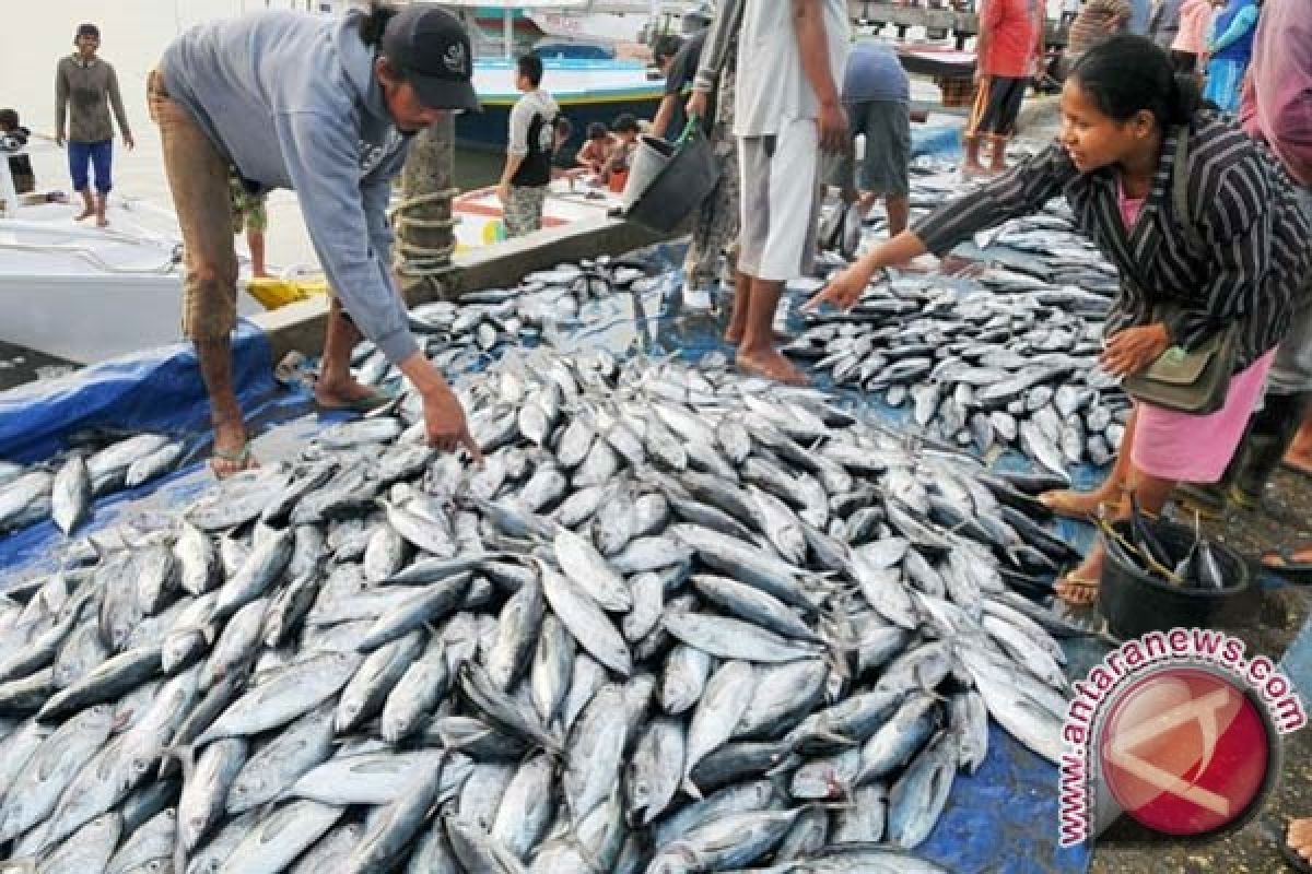 Tuna Beri 16,16 Persen  Terhadap Ekspor  Bali 