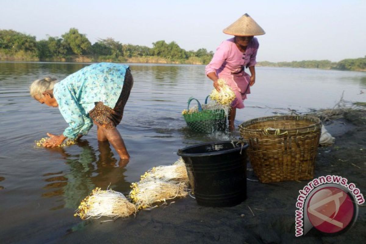 Pemkab: Kualitas Air Bengawan Solo Bojonegoro Bagus