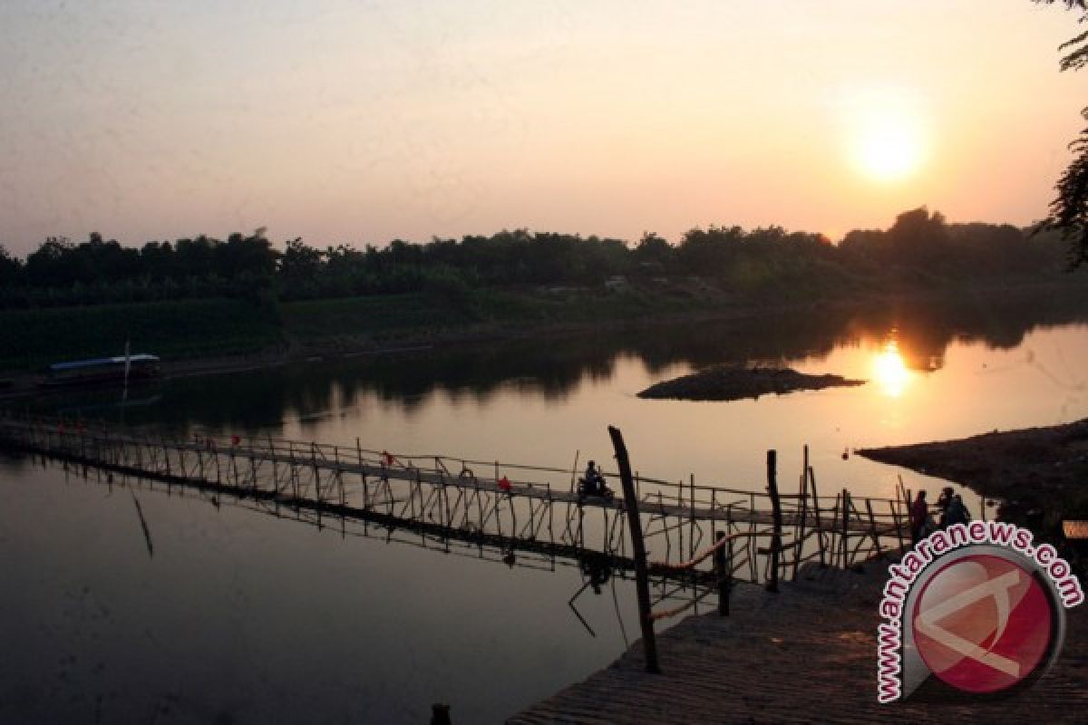 Sili Bangkit: Benih Ikan Bengawan Solo Berkembang Normal