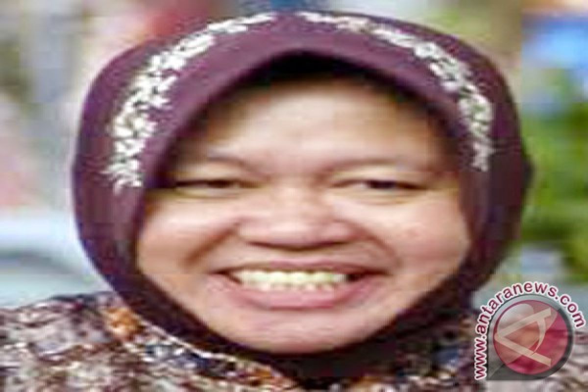 Risma Pelajari Infrastruktur Batam