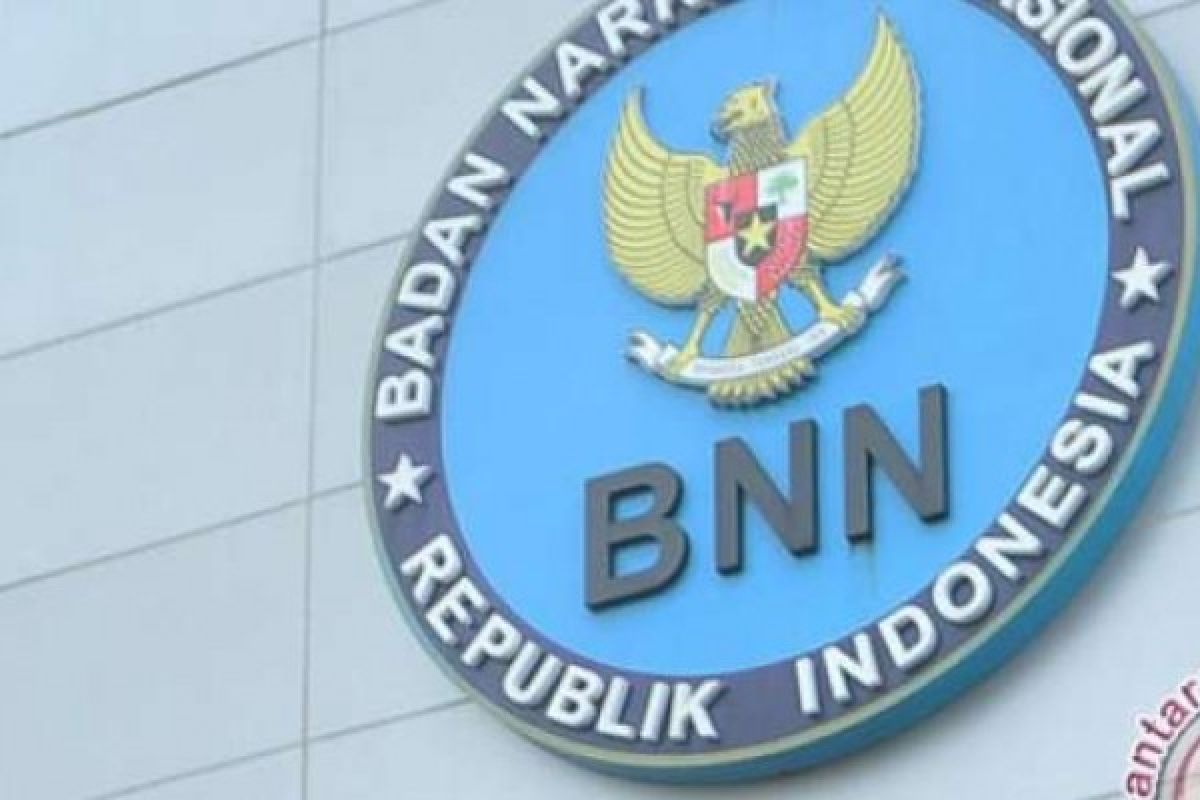 BNN Amankan 31 Orang Terindikasi Gunakan Narkoba