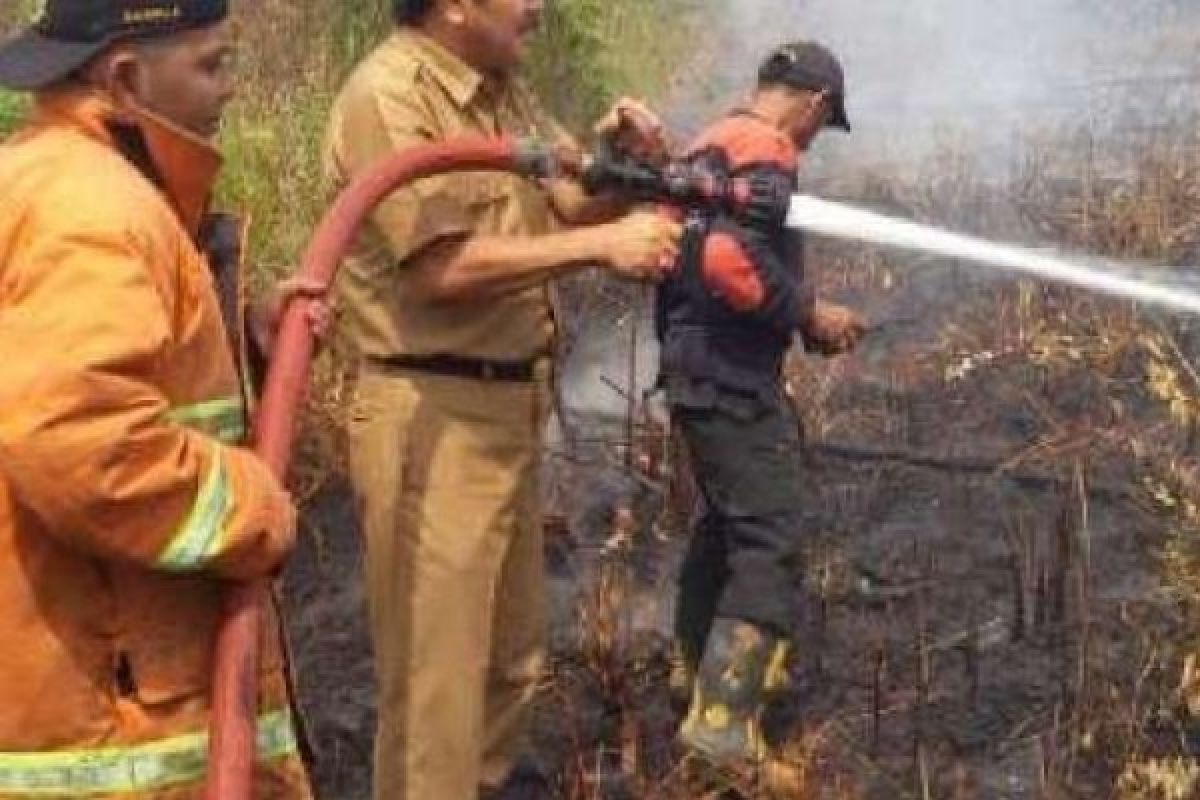 BPBD Kampar Terus Lakukan Pemadaman Lahan Terbakar